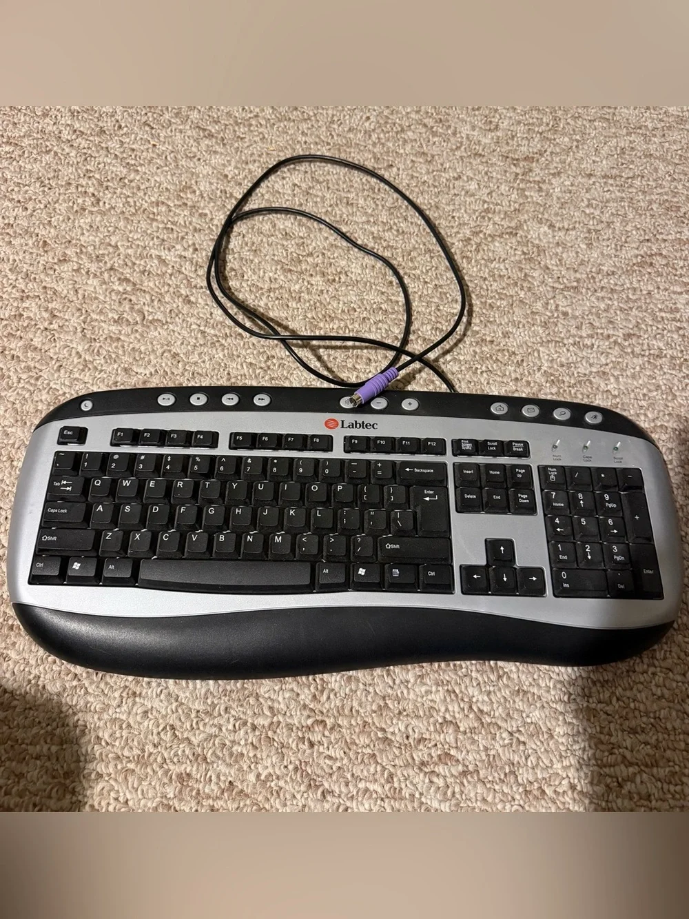 Vintage Labtec Y-SN47 Multimedia Keyboard PS/2 Wired Silver Black Ergonomic